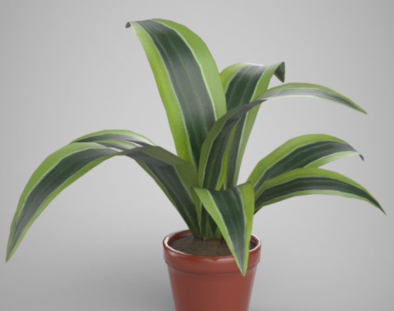 Office & Home Plant Design